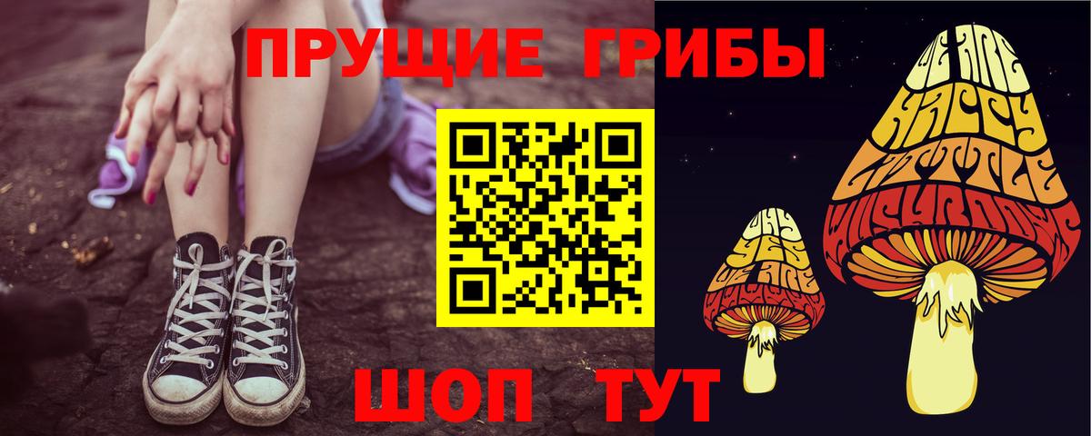 где купить наркоту  Галлюциногенные грибы MAGIC MUSHROOMS  Вход с VPN  Галлюциногенные грибы мицелий  Рязань 