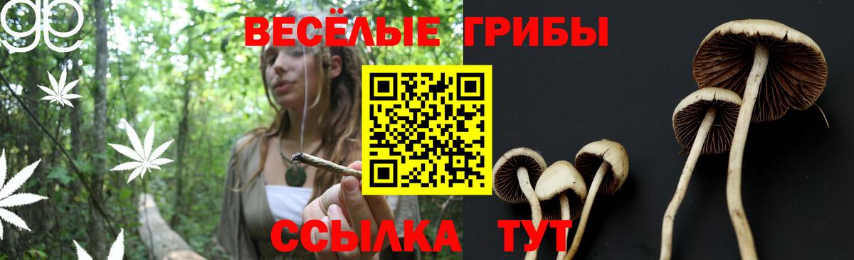A PVP СК кристаллы  Вход с VPN  Кокаин  Канабис  ГАШ  Рязань  MDMA  МЕФ кристаллы  Гашиш  АМФ кристаллы 